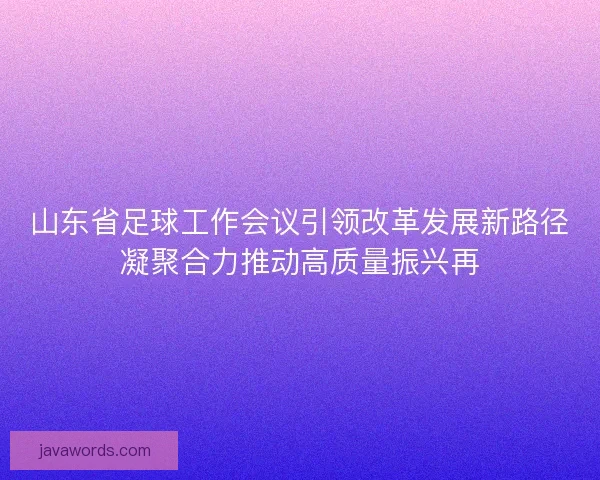 山东省足球工作会议引领改革发展新路径凝聚合力推动高质量振兴再