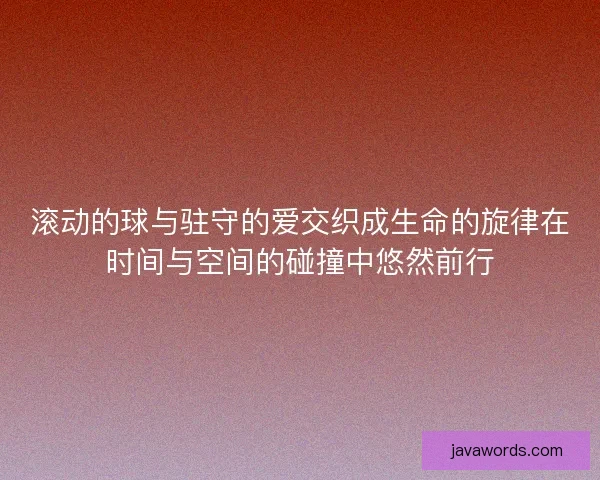 滚动的球与驻守的爱交织成生命的旋律在时间与空间的碰撞中悠然前行